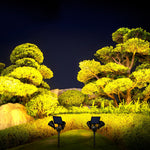 2 Lights Motion Sensor Solar Lawn Lights Li002294