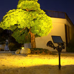 2 Lights Motion Sensor Solar Lawn Lights Li002294