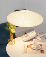 akari-oval-pendant-light
