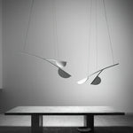 Almendra Organic Chandelier