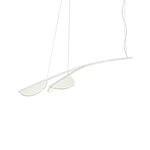 Almendra Organic Chandelier