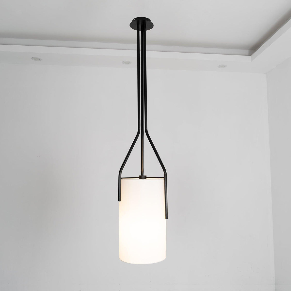 arborescence-chandelier