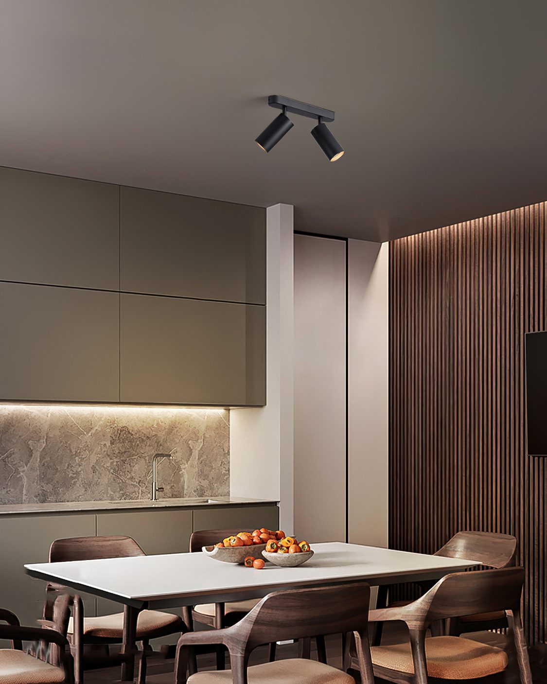 Modern LED Track Dual Head Downlight for Living Room & Bedroom