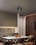 Modern LED Track Dual Head Downlight for Living Room & Bedroom