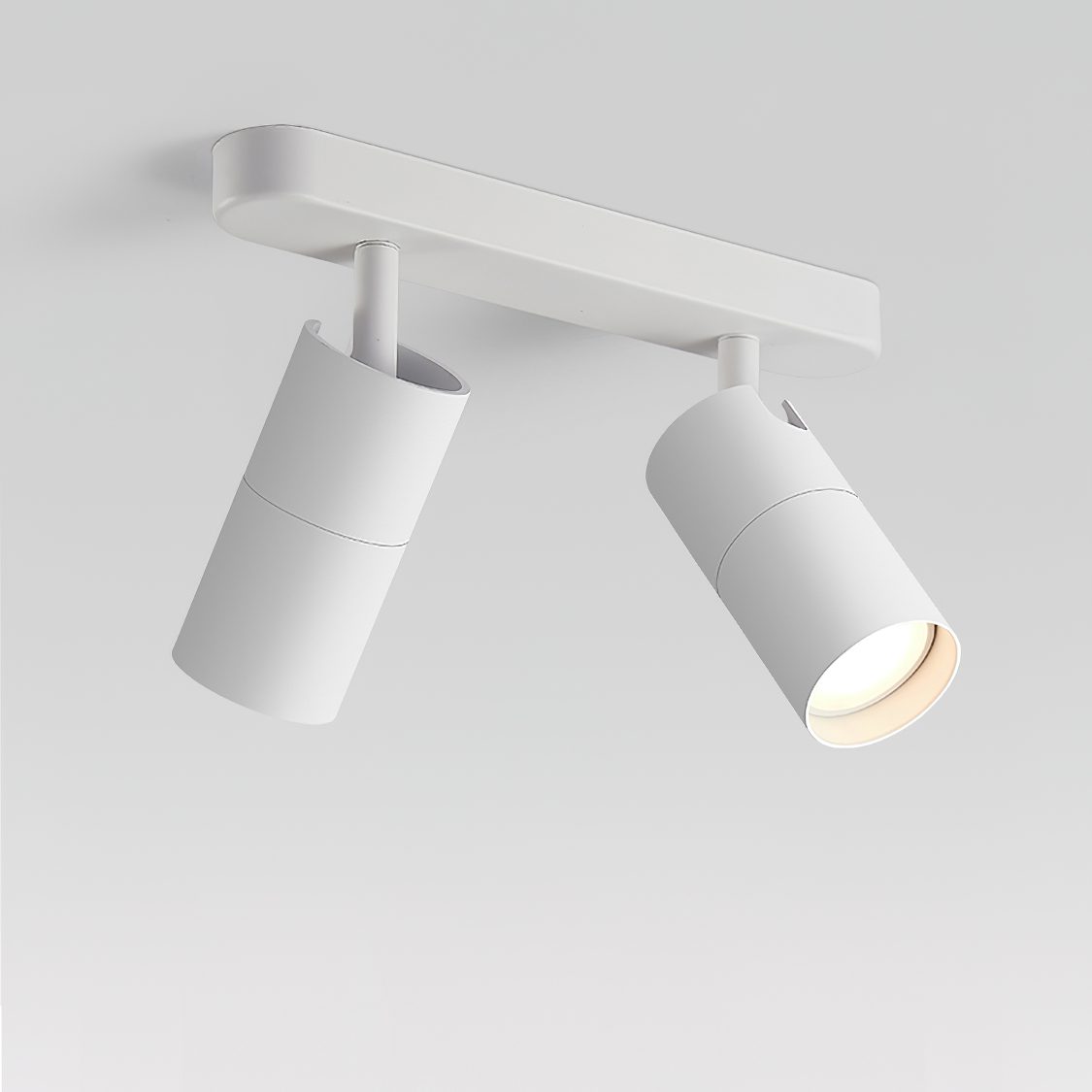 Modern LED Track Dual Head Downlight for Living Room & Bedroom