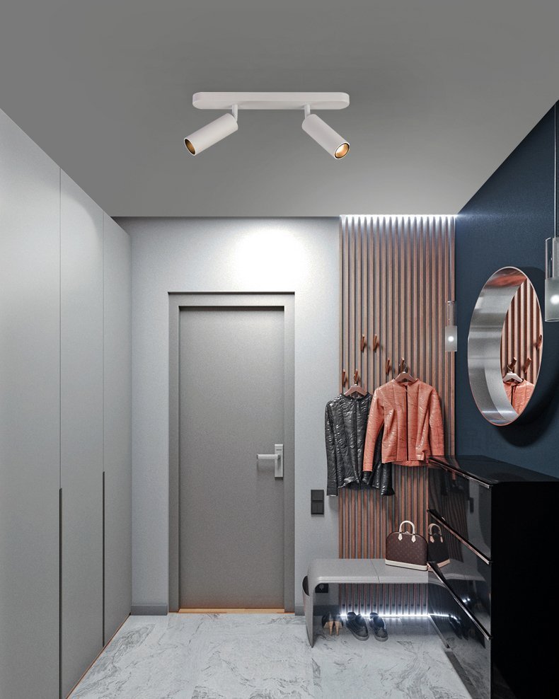 Modern LED Track Dual Head Downlight for Living Room & Bedroom
