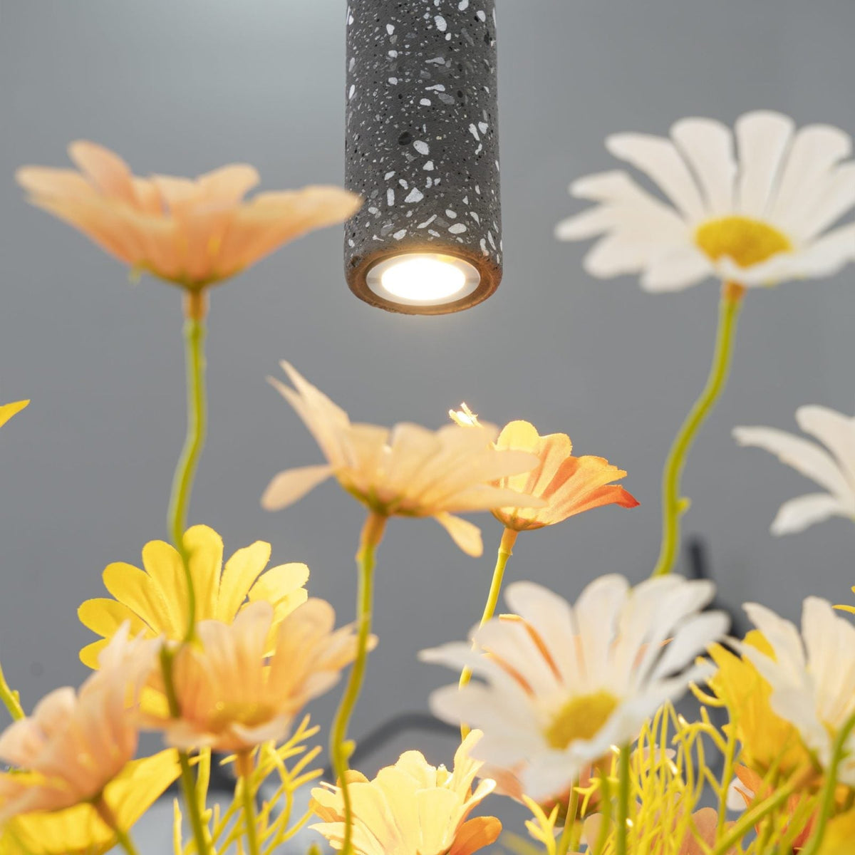 BANG Concrete pendant lamp