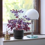 Bauhaus Table Lamp