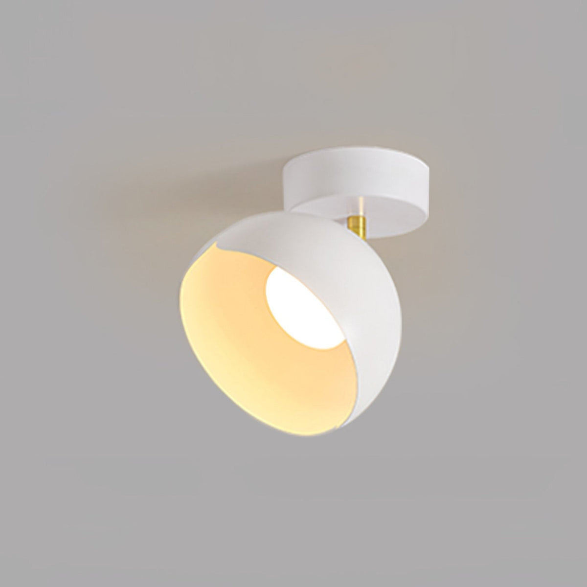 Carins Ceiling Light