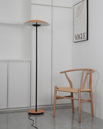 directional-floor-lamp