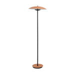 directional-floor-lamp