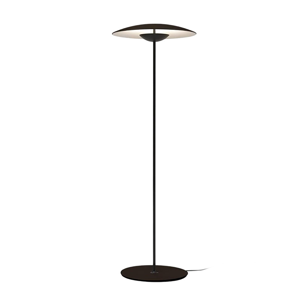 directional-floor-lamp