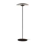 directional-floor-lamp
