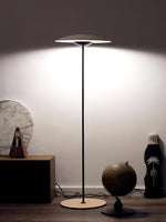 directional-floor-lamp