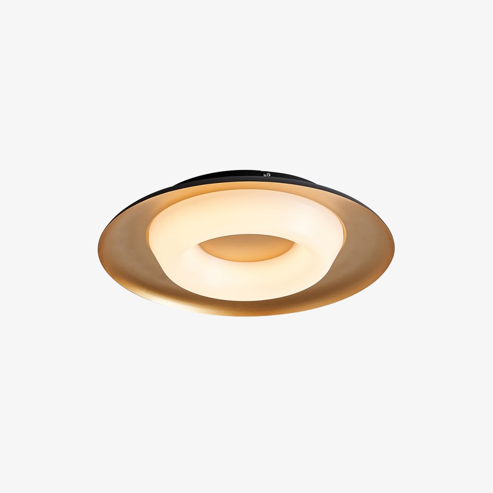 Modern LED Ceiling Light Flush Mount Donut Chandelier for Living Room Bedroom