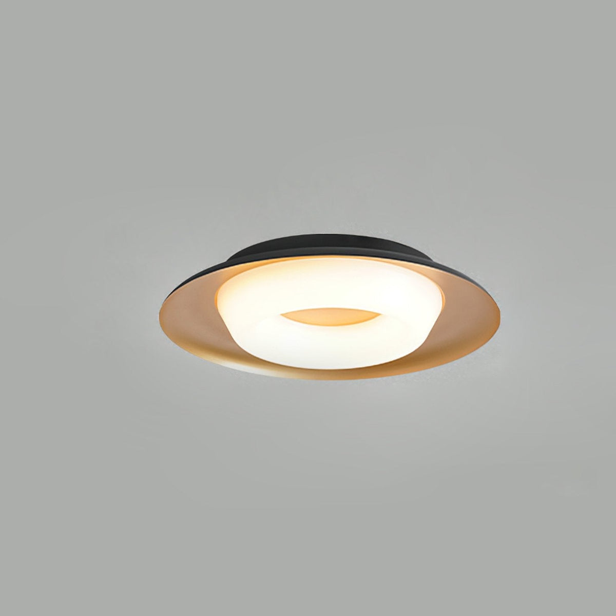 Modern LED Ceiling Light Flush Mount Donut Chandelier for Living Room Bedroom