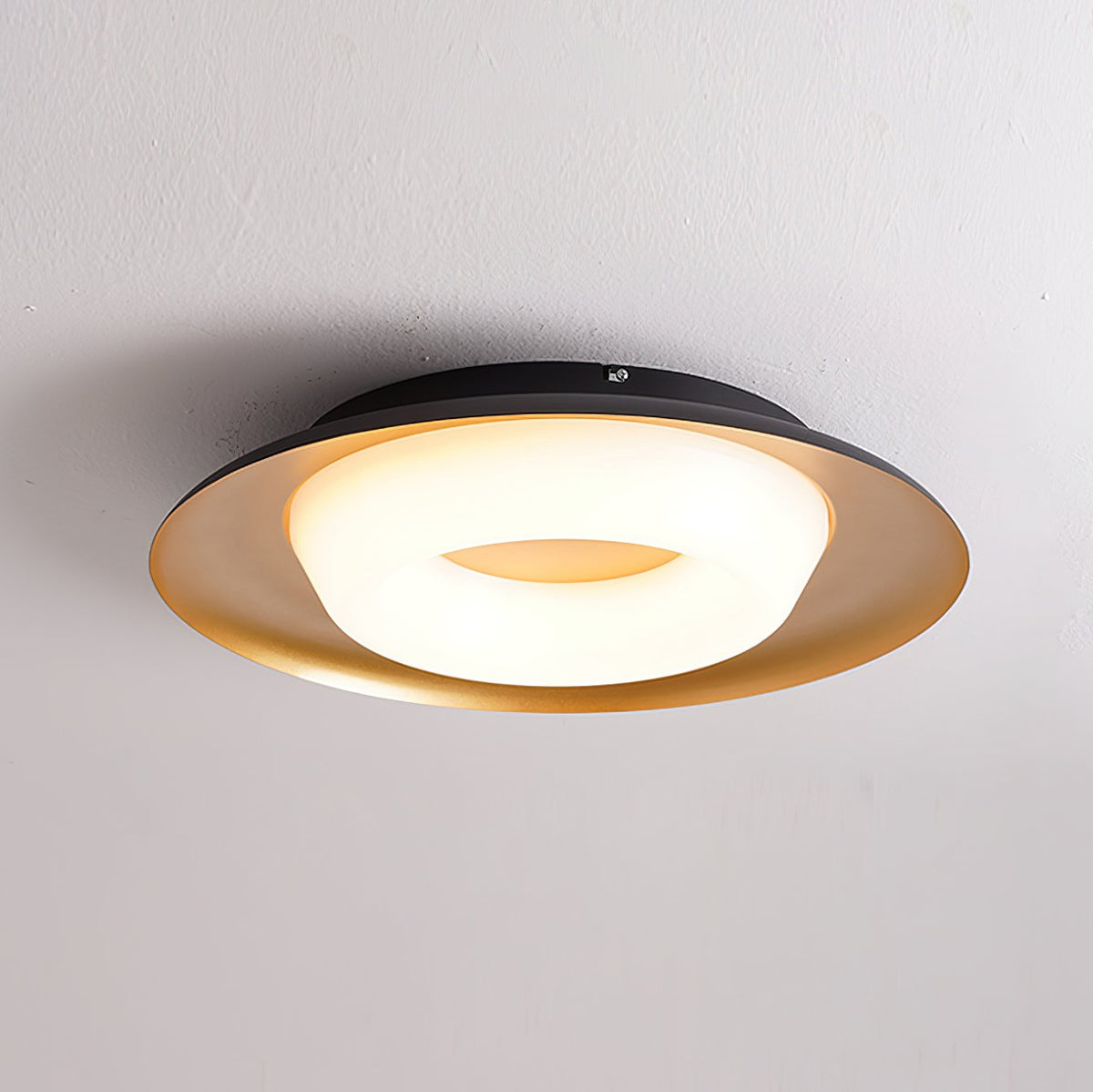 Modern LED Ceiling Light Flush Mount Donut Chandelier for Living Room Bedroom
