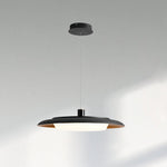 Donut Pendant Light