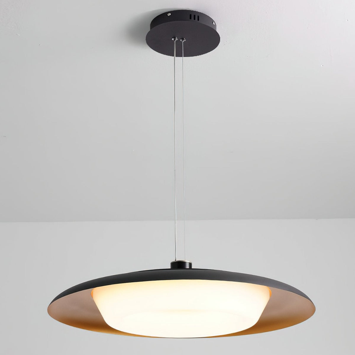 Donut Pendant Light