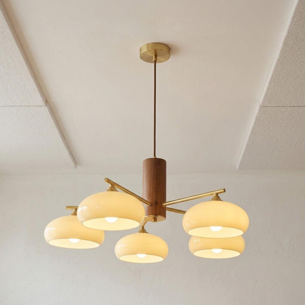 elliptical-persimmon-chandelier