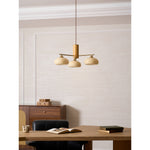 elliptical-persimmon-chandelier