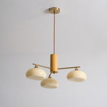 elliptical-persimmon-chandelier