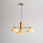 elliptical-persimmon-chandelier