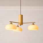 elliptical-persimmon-chandelier
