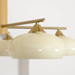 elliptical-persimmon-chandelier