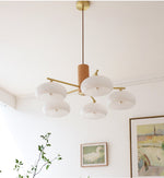 elliptical-persimmon-chandelier