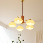 elliptical-persimmon-chandelier
