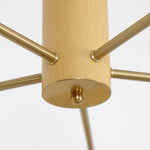 elliptical-persimmon-chandelier