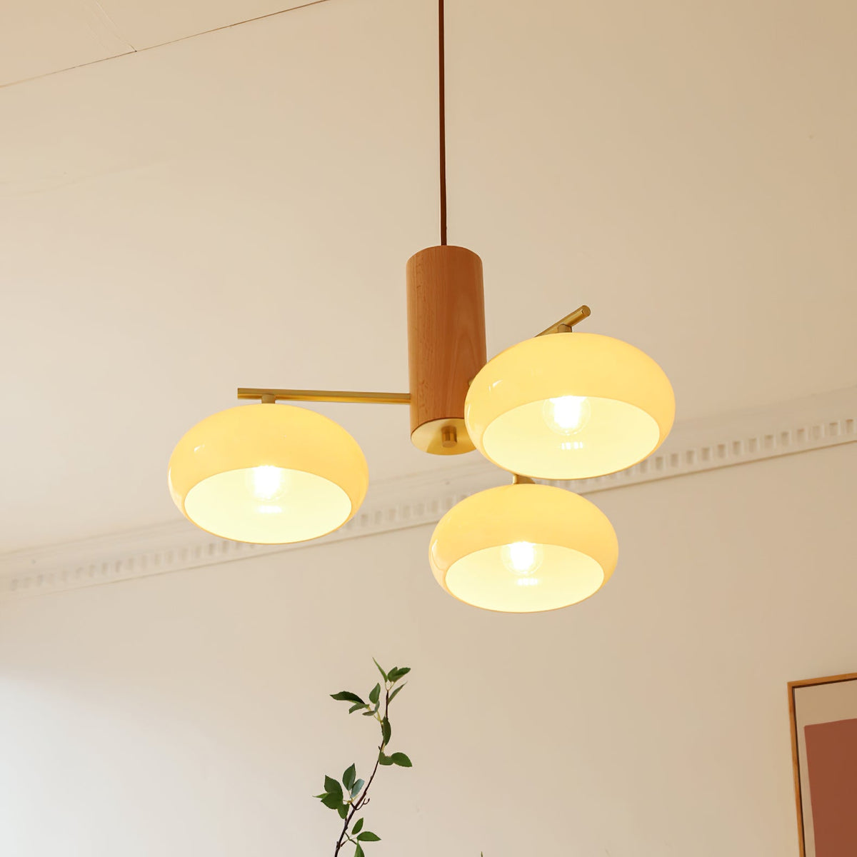 elliptical-persimmon-chandelier