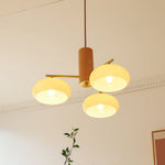 elliptical-persimmon-chandelier