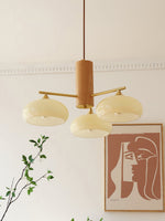 elliptical-persimmon-chandelier