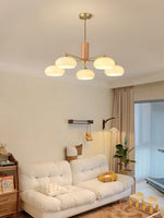 elliptical-persimmon-chandelier