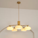 elliptical-persimmon-chandelier