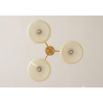 elliptical-persimmon-chandelier