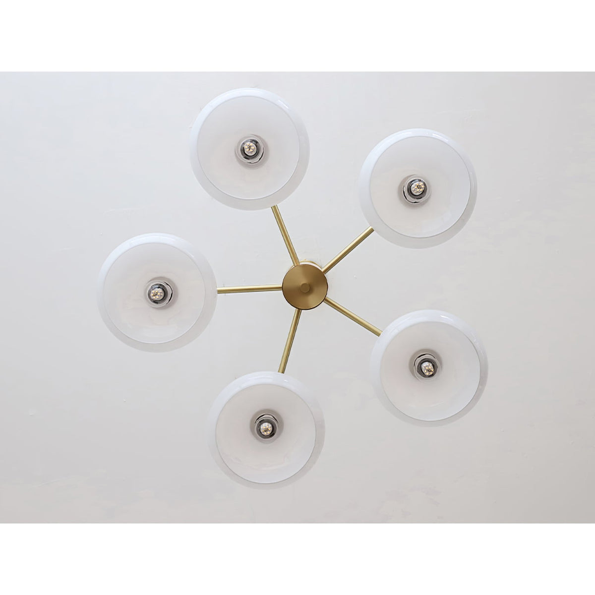 elliptical-persimmon-chandelier