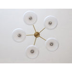 elliptical-persimmon-chandelier