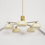 elliptical-persimmon-chandelier