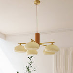 elliptical-persimmon-chandelier