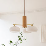 elliptical-persimmon-chandelier