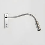 Flexible Gooseneck Wall Lamp