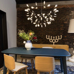 heracleum-chandelier