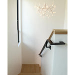 heracleum-chandelier