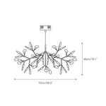 heracleum-chandelier