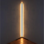 Minimalist Led Floor Lamp