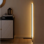 Minimalist Led Floor Lamp