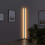 Minimalist Led Floor Lamp